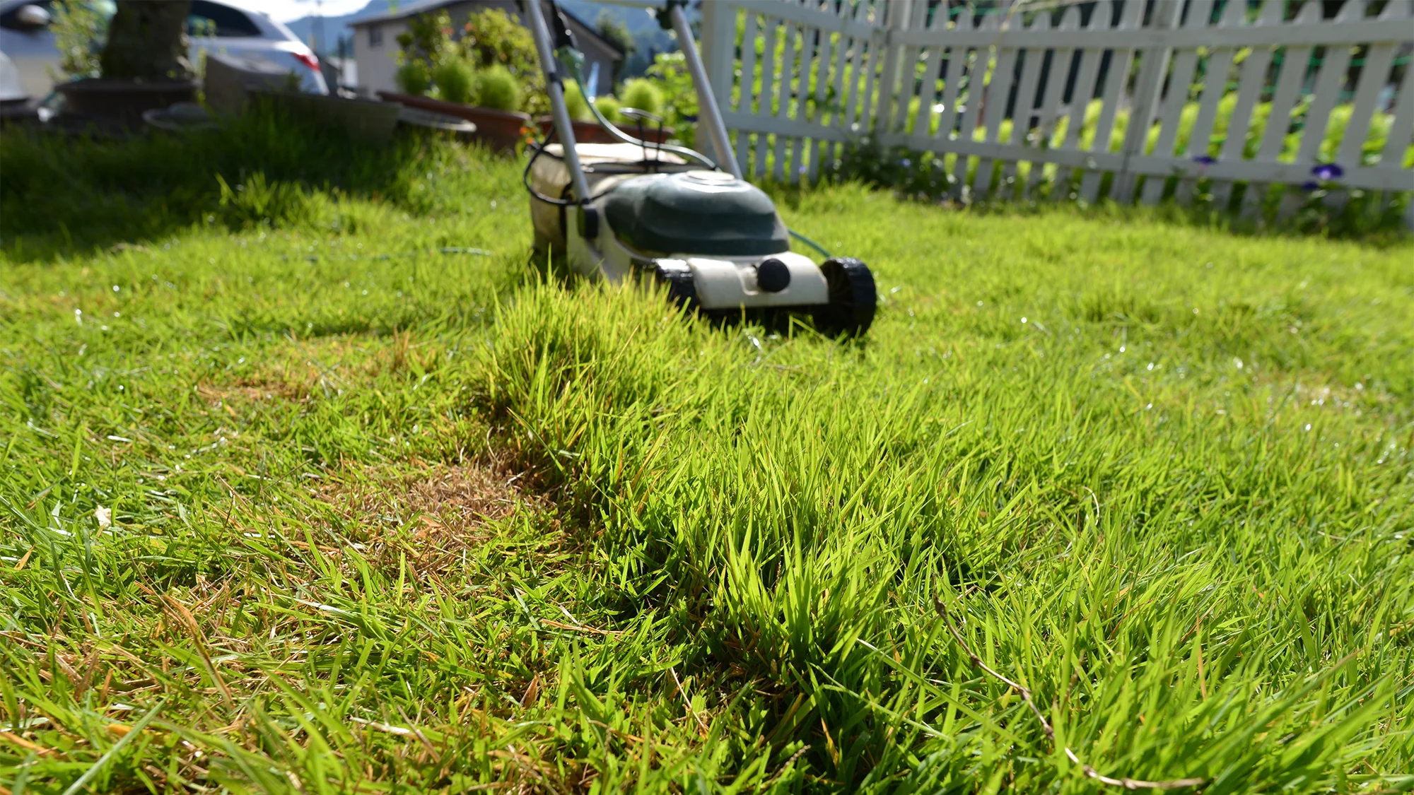 芝刈り
